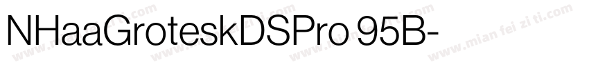 NHaaGroteskDSPro 95B字体转换